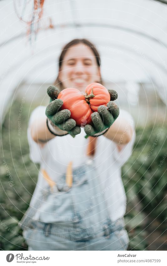 Young woman holding fresh recolected tomatoes to camera while smiling after a hard working day person crop farmer farming growing gardening harvesting vitamin
