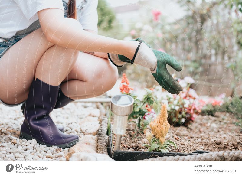 Close up hand putting on working gloves. Getting ready to work with flowers on the garden gardening hobby planting woman growth gardener home outside yard