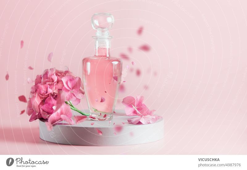 Aesthetic cosmetic product in glass bottle with pink liquid with hydrangea flowers and falling petals on podium. Front view. aesthetic front view fashion health