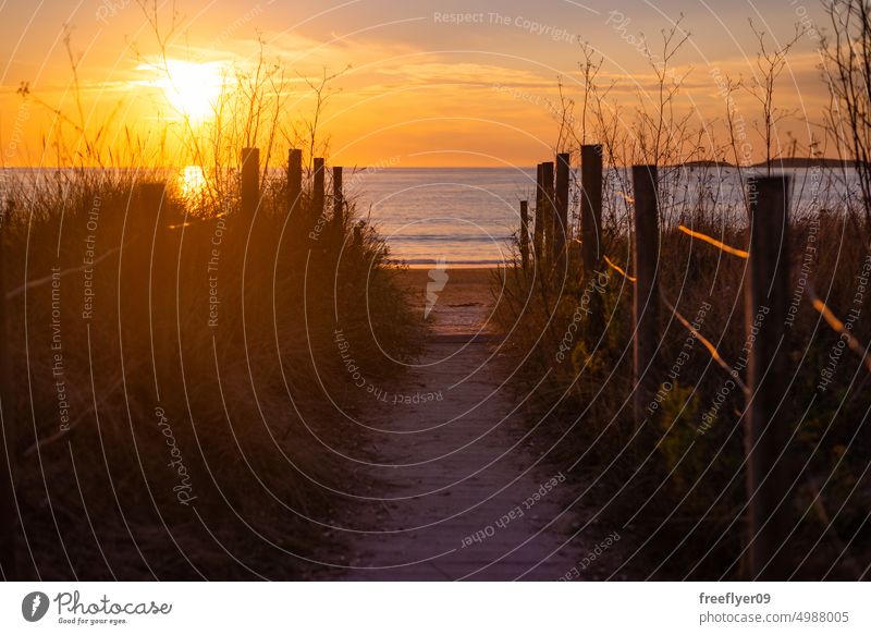 Pathway to the beach through the vegetated dunes acess sunset galicia copy space sea atlantic fence wood vacation relax relaxation spain calmness orange travel