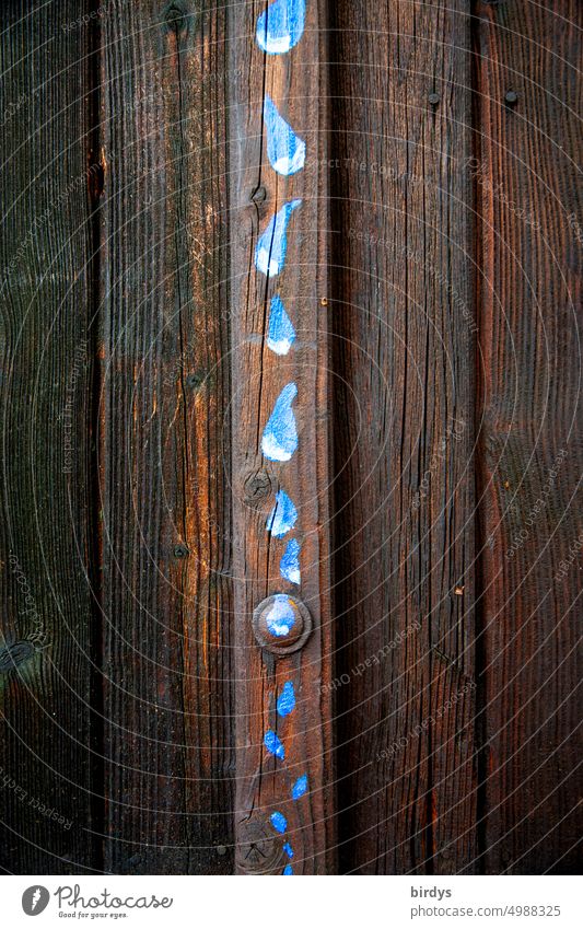 Painted blue water drops on a dark wooden wall. Book cover. Decoration and ornament Wooden wall Drops of water Wall (building) Wooden board Old