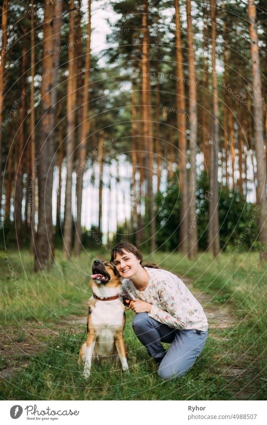 Young Adult Caucasian Woman Posing And Smiling With Pet Dog In Summer Green Forest. Active Healthy Lifestyle On Nature active animal authentic beautiful breed
