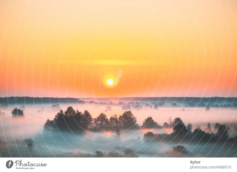 Amazing Sunrise Sunset Over Misty Landscape. Scenic View Of Foggy Morning Sky With Rising Sun Above Misty Forest And River. Early Summer Nature Of Eastern Europe