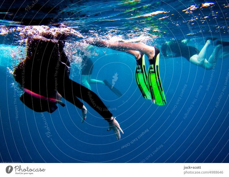 dive into the blue world Swimming & Bathing Pacific Ocean Underwater photo Ease Surface of water Snorkeling Snorkeler Aquatics Experience Human being