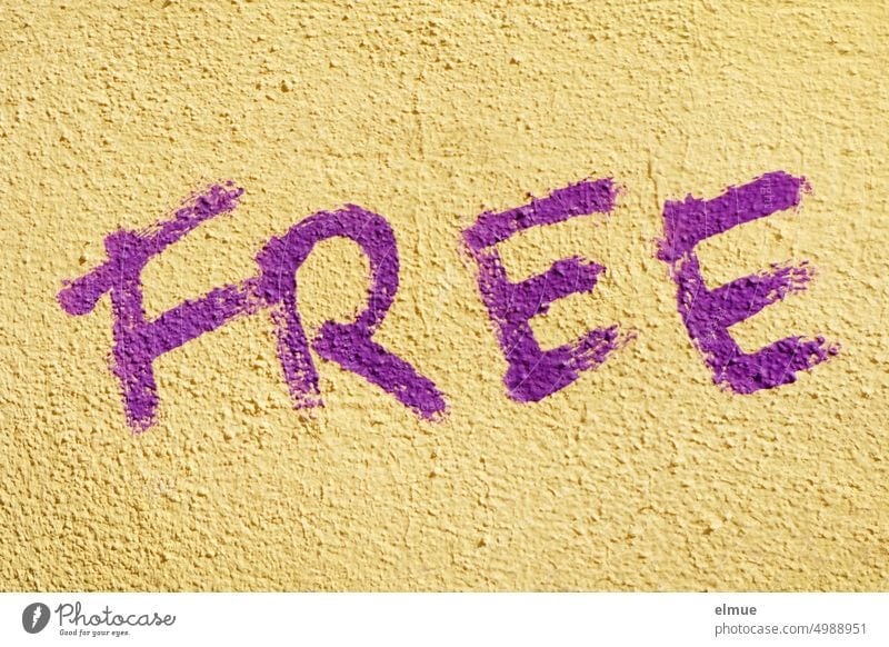 FREE is written in purple print on a beige house wall free Free be free Graffiti Daub Typography Damage to property Youth culture Blog Subculture Mural painting