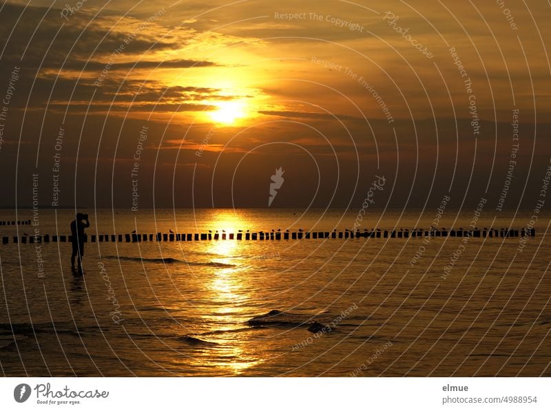 Sunset by the sea - water, wooden groynes, seagulls and silhouette of a man capturing the scenery with his smartphone Ocean Water Baltic Sea Break water