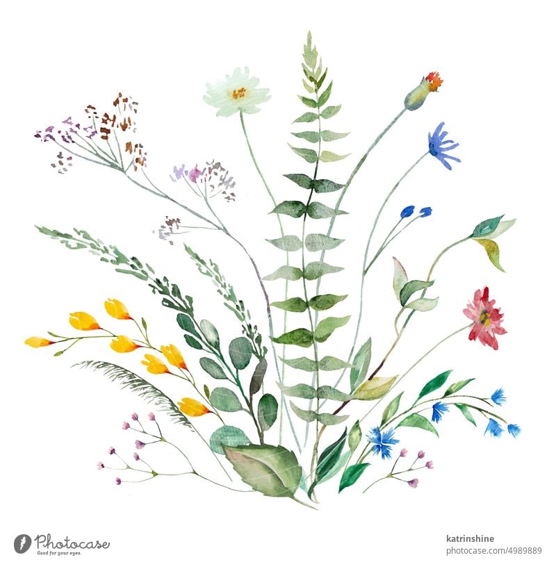 Bouquet of watercolor wild flowers and leaves, summer wedding and greeting illustration isolated Birthday Botanical Colorful Decoration Drawing Element Garden