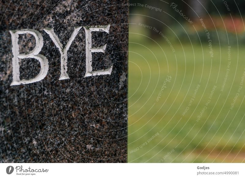 [HH Unnamed Road] Gravestone with the farewell greeting 'Bye'. Tombstone Goodbye Salutation Grief Plant Transience Death Hope Cemetery Funeral Nature Sadness