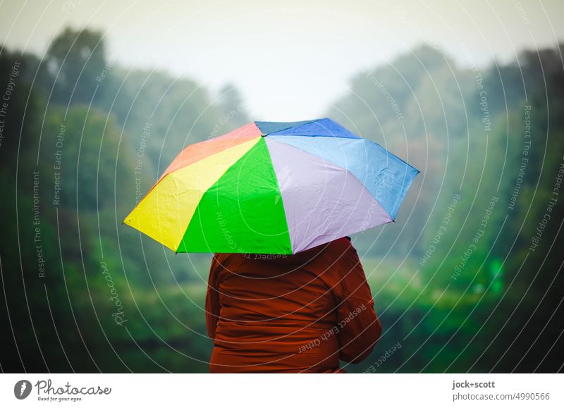 [HH Unnamed Road] colorful umbrella in the drizzle Woman Rear view Umbrella rainy chill Damp Bad weather Lifestyle melancholy Autumn Human being Cold fauna