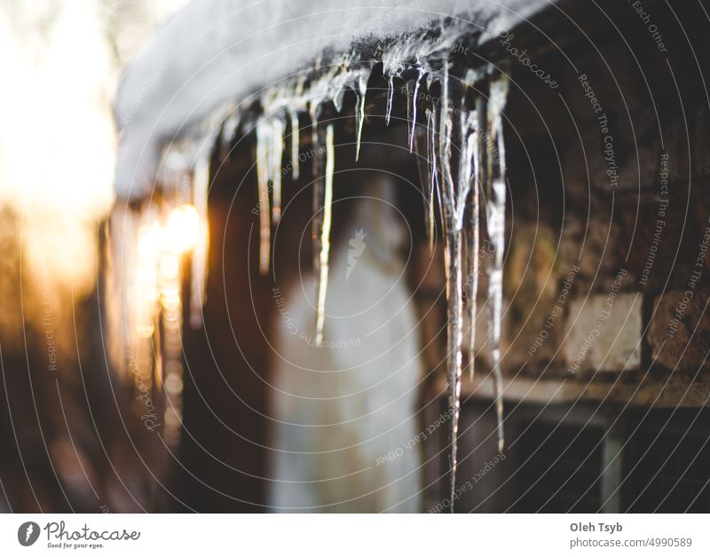 Winter, icicles hanging from the roof, sunset winter ice snow background cold frost nature season christmas water crystal transparent outdoors melt icy
