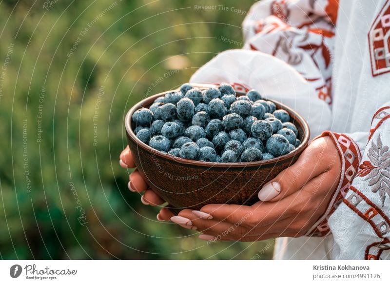 Ukrainian woman in embroidery vyshyvanka shirt holding blueberries on garden background. Rich blackberry harvest. Fresh ripe organic berries - great bilberry plant.