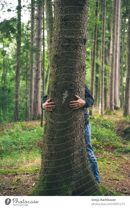 A man hugs a tree in the forest Man Tree Forest Nature Embrace Wood blurred background Love Environment Environmental protection hands Green Exterior shot