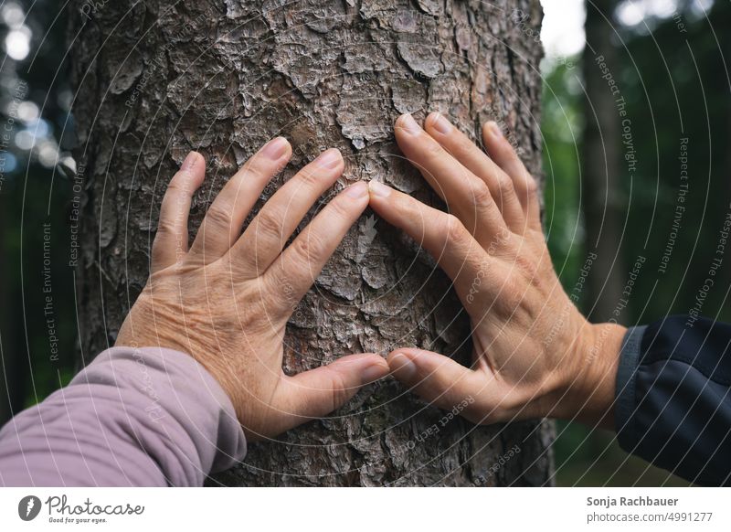 A man and a woman form a heart on a tree trunk with their hands Heart-shaped Woman Man Hand Tree Romance Declaration of love With love Sincere Sign Emotions