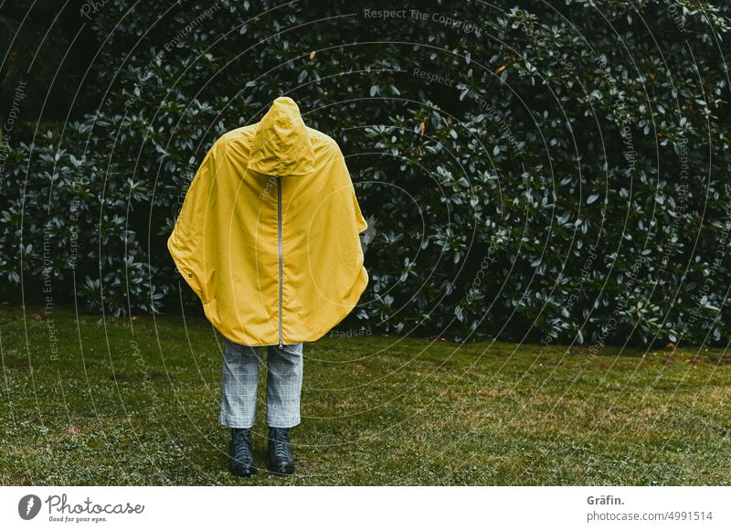[HH - Unnamed Road] Yellow against the rain - person in yellow rain poncho stands on a meadow Nature Autumn Colour photo Exterior shot Plant Rain Drop Feminine