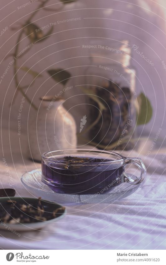 Vertical shot of a cup of healthy blue butterfly pea or clitoria ternatea showing concept of wellness, wellbeing and autumn aesthetic Wellbeing Autumn Hygge