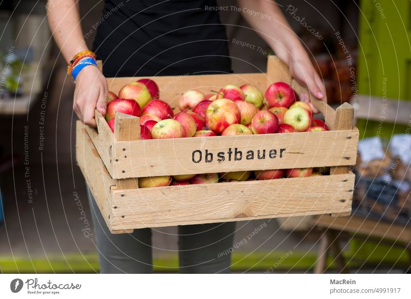East boxes apples one person A human reap Eating leese Garden Gardens Wooden box Crate fruit orchards Mature cute Carrying fruit grower Organic produce
