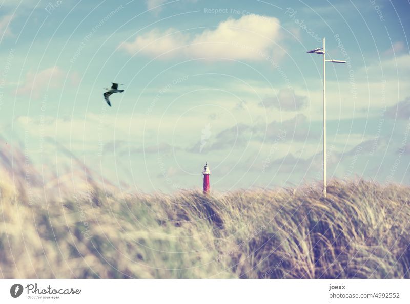 2 x lighthouse, dune grass, seagull and sky Lighthouse Marram grass coast Idyll Colour photo Sky Calm Beautiful weather Landscape Nature Clouds Deserted Day
