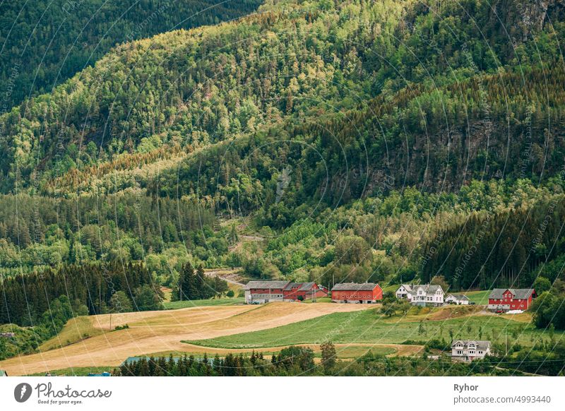 Voss, Norway. Summer Scenic Landscape With Fields And Red Farm Buildings. Traditional Norwegian Hillside Village With Old Wooden Houses Hardanger region
