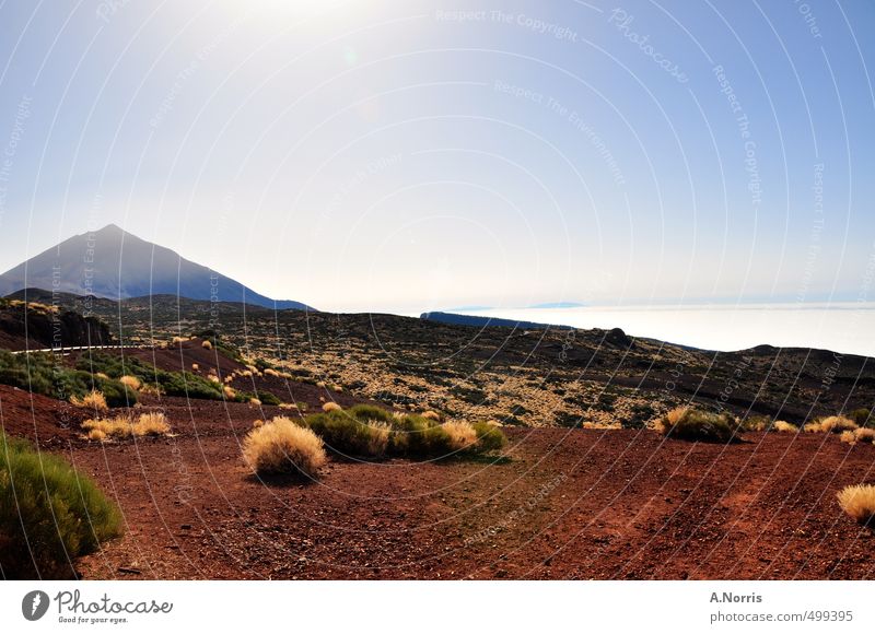 El Teide Environment Nature Landscape Earth Sand Air Cloudless sky Sunlight Summer Beautiful weather Warmth Drought Bushes Hill Volcano Desert Tenerife Spain