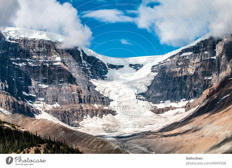 ice age Water Icefields Parkway Rock Far-off places Wanderlust Alberta Vacation & Travel especially Fantastic Exterior shot Nature Rocky Mountains Colour photo