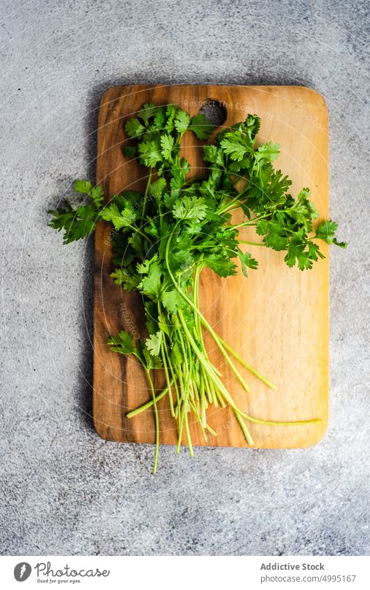 Fresh coriander herb cook cooking cut cutting board dish eating food fresh green healthy ingredient meal organic raw rustic table wooden concept copy space