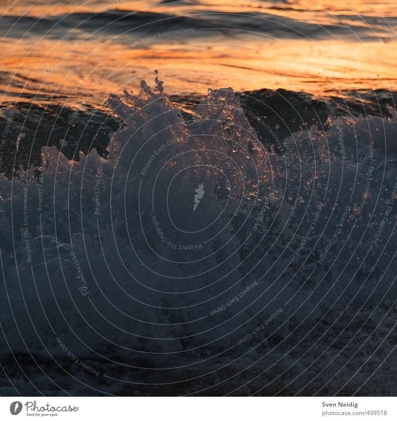 churned Nature Elements Water Waves Ocean Glittering Gold Gray Orange Movement Colour photo Exterior shot Structures and shapes Copy Space bottom Twilight