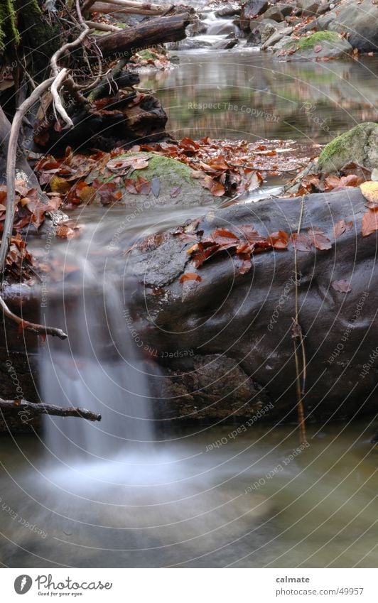 - autumnal water - Leaf Autumn Brook Long exposure Water River Rock Stone Waterfall watery