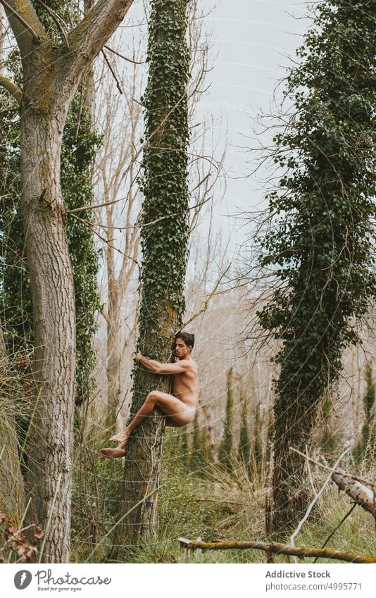 Naked man embracing tree in forest hug naked nature nude trunk embrace woods male tranquil summer serene harmony eyes closed peaceful calm woodland environment
