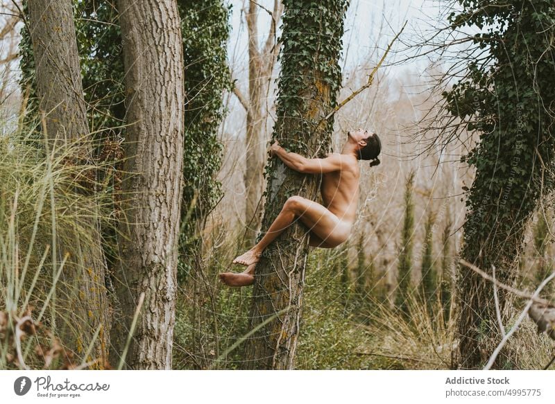 Naked man embracing tree in forest hug naked nature nude trunk embrace woods male tranquil summer serene harmony eyes closed peaceful calm woodland environment