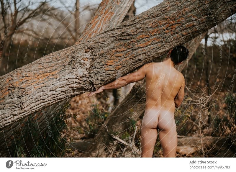 Naked man standing in autumn forest naked nature enjoy tree trunk nude woods male season environment fall harmony woodland idyllic natural peaceful freedom calm