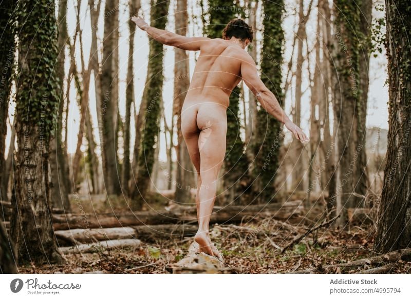 Nude man walking on tree trunk in woods naked forest autumn balance nature nude male harmony sunlight fall woodland daytime peaceful calm environment serene