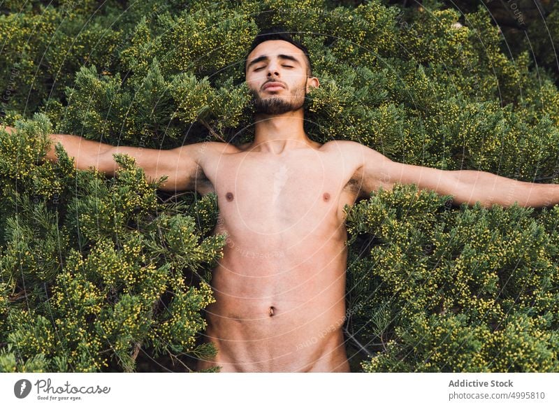 Muscular naked ethnic guy lying on green bush with closed eyes man eyes closed model sensual individuality outstretch nature recreation male young hispanic