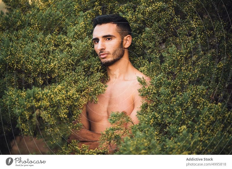 Shirtless ethnic guy standing amidst green bushes and looking away man nature thoughtful naked torso portrait model calm dreamy tranquil pensive contemplate