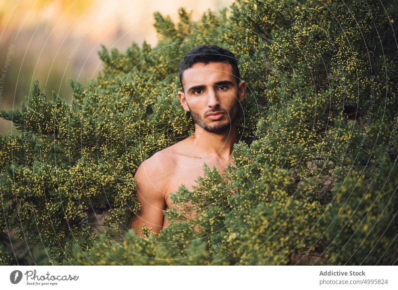 Shirtless ethnic guy standing amidst green bushes and looking at camera man nature thoughtful naked torso portrait model calm dreamy tranquil pensive