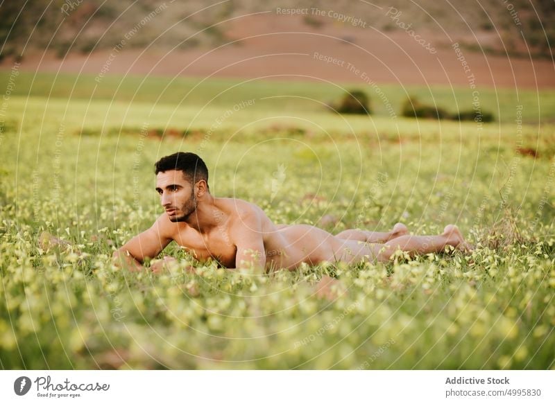 Naked ethnic guy lying on field and looking away man naked countryside muscular nature self assured nude harmony recreation body confident male young hispanic