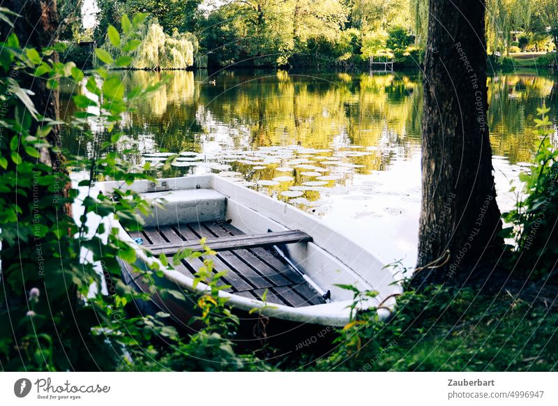 Rowing boat on the shore of a pond, tree and water lilies Rowboat Tree Pond Lake bank sunny Water Surface of water Relaxation Trip Peaceful Calm Nature Channel