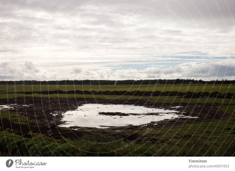 Strange water surface under wide sky Water surface of the water reflection Sky Clouds just Meadow bushes Dark Nature Landscape Denmark Horizon Exterior shot