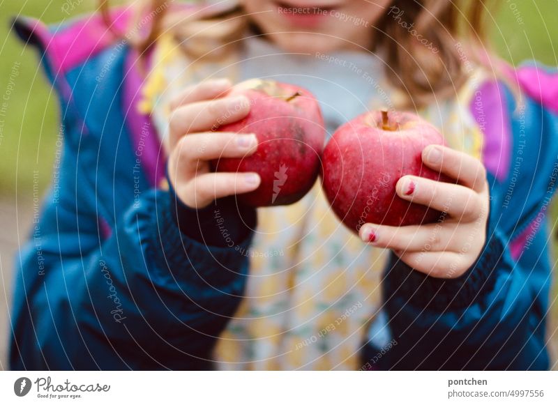 A girl holds two freshly picked red apples in her hands Harvest Domestic farming Girl Pride Joy fruit Fruit Fresh Healthy Organic produce Juicy Food Vitamin
