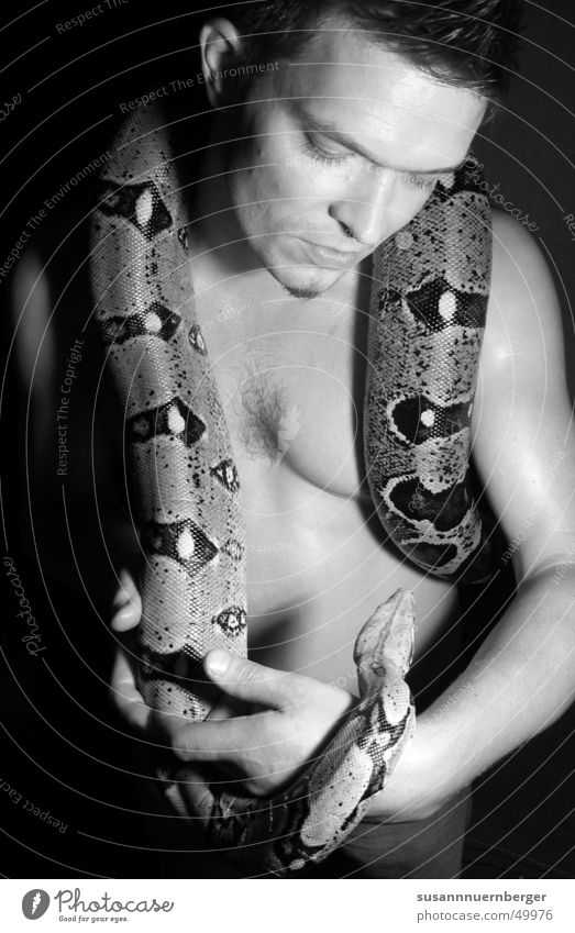 exciting harmony Man Portrait photograph Eroticism Snake Black & white photo naked torso Contrast
