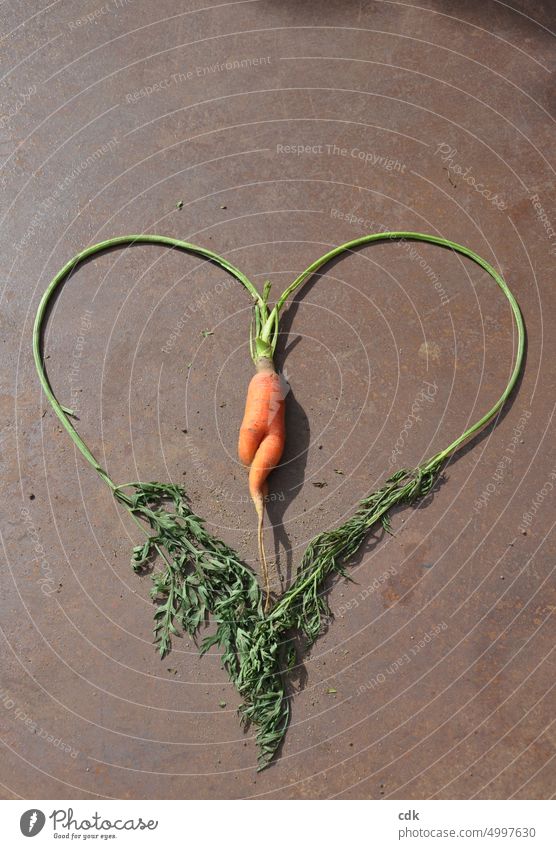 333 | be there with heart & carrot. Vegetable Raw vegetables Food Organic produce Nutrition Healthy Healthy Eating Fresh Delicious Green Day Vegetarian diet