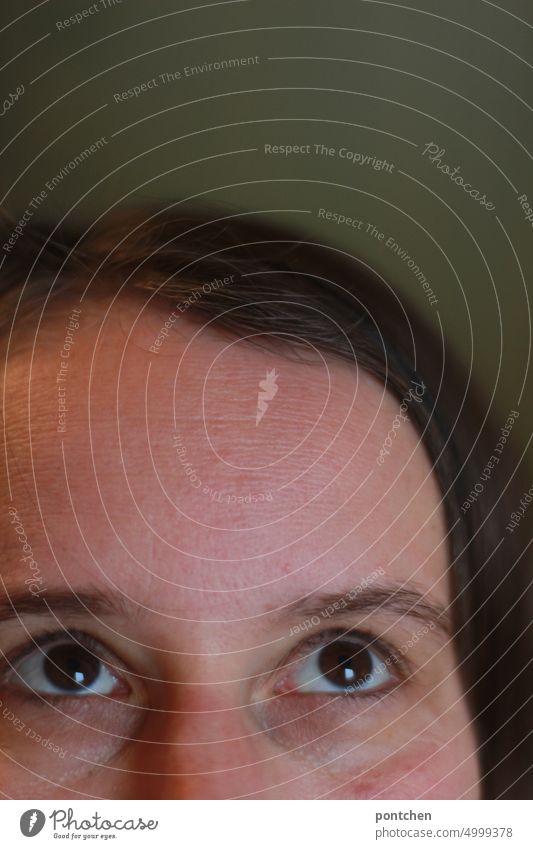 Forehead and eyes of a woman looking up. brown eyes crease Face Upward portrait Looking Woman brown hair naturally Head Authentic