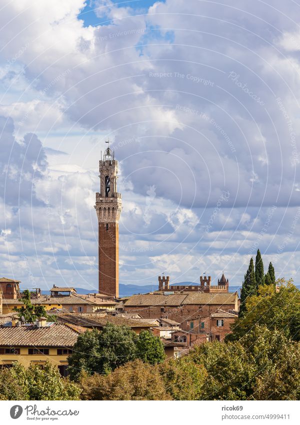 View over the old town of Siena in Italy Tuscany City hall Palazzo Pubblico Town Tower Torre del Mangia Architecture House (Residential Structure) Building
