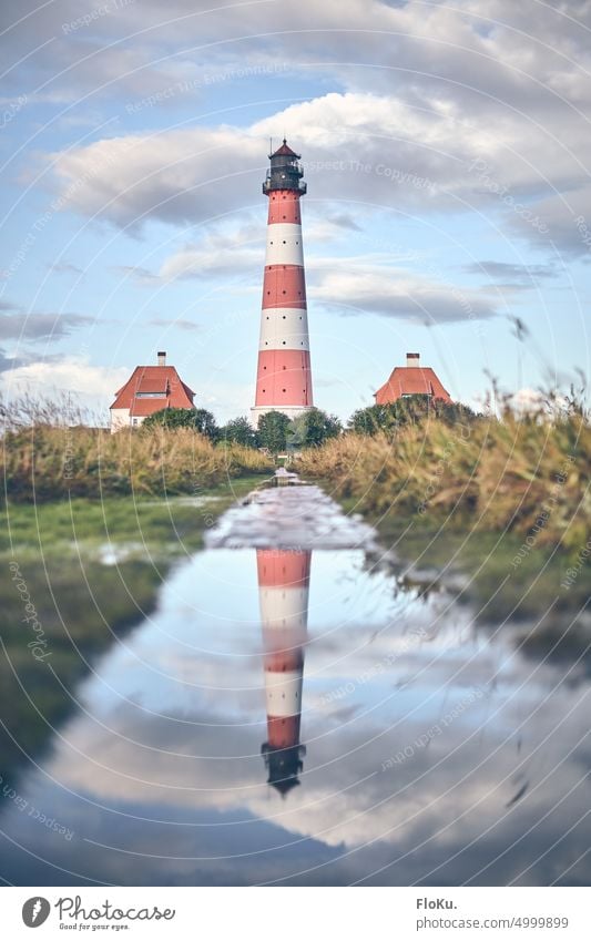 Westerhever lighthouse reflected in a puddle Western Europe Lighthouse North Sea coast North Frisland Exterior shot Colour photo Deserted Ocean Tourism Nature