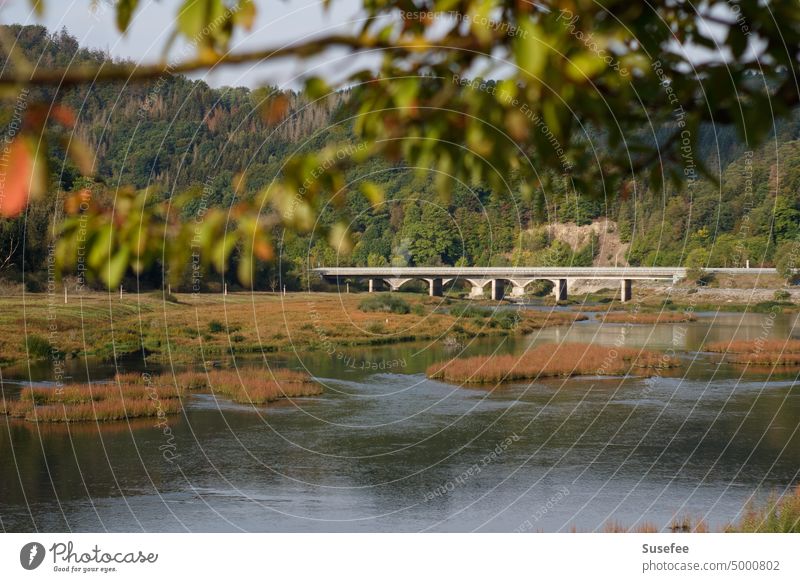 A bridge over an almost empty lake with forest and a branch in the foreground Bridge Lake Water Street Landscape Stone Nature Vantage point Looking Mountain