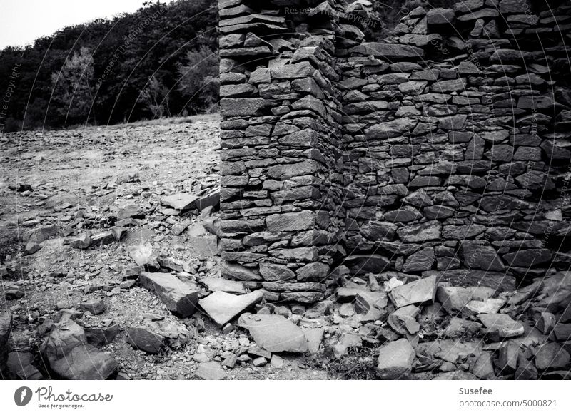 A piece of old wall Wall (barrier) Old stones black-and-white Wall (building) Facade Brocken Rock Forest trees Deserted Architecture Manmade structures