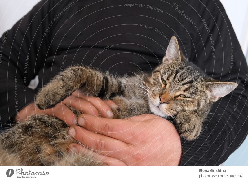 A faceless man in a black sweater holds a tabby cat in his arms. The concept of friendship between people and pets. Close up. mental health lifestyle hand relax