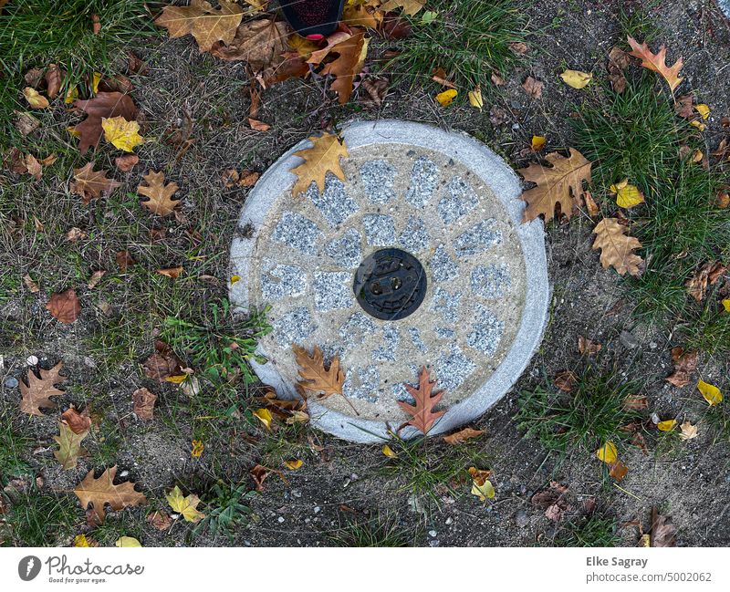 Manhole cover- manhole cover autumnal slop Deserted Lanes & trails Structures and shapes Paving stone Exterior shot Cobblestones Gray