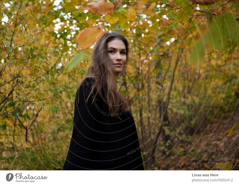 It’s real autumn outside. A bit moody. A bit cold. So a gorgeous brunette girl is dressed warmly in a black coat. Yellow leaves and a beautiful woman in front of a camera.