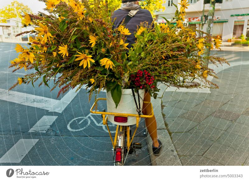Bicycle with bouquet Delivery flowers flower trade Florist Cycle path luggage carrier delivery logistics Wheel Town bouquets Street Road traffic Transport urban