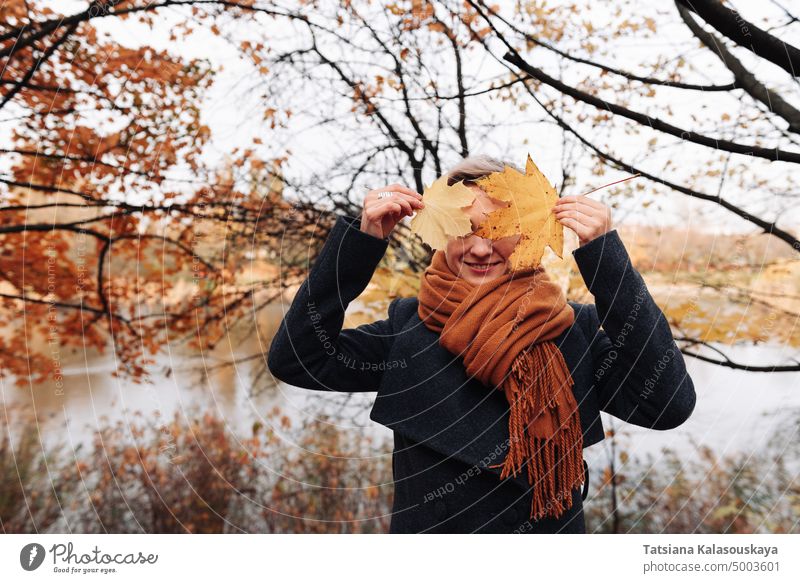 A woman in a coat and scarf in an autumn park covers her face with maple leaves Hiding Obscured Covering In front of maples fallen leaves chill autumn leaves